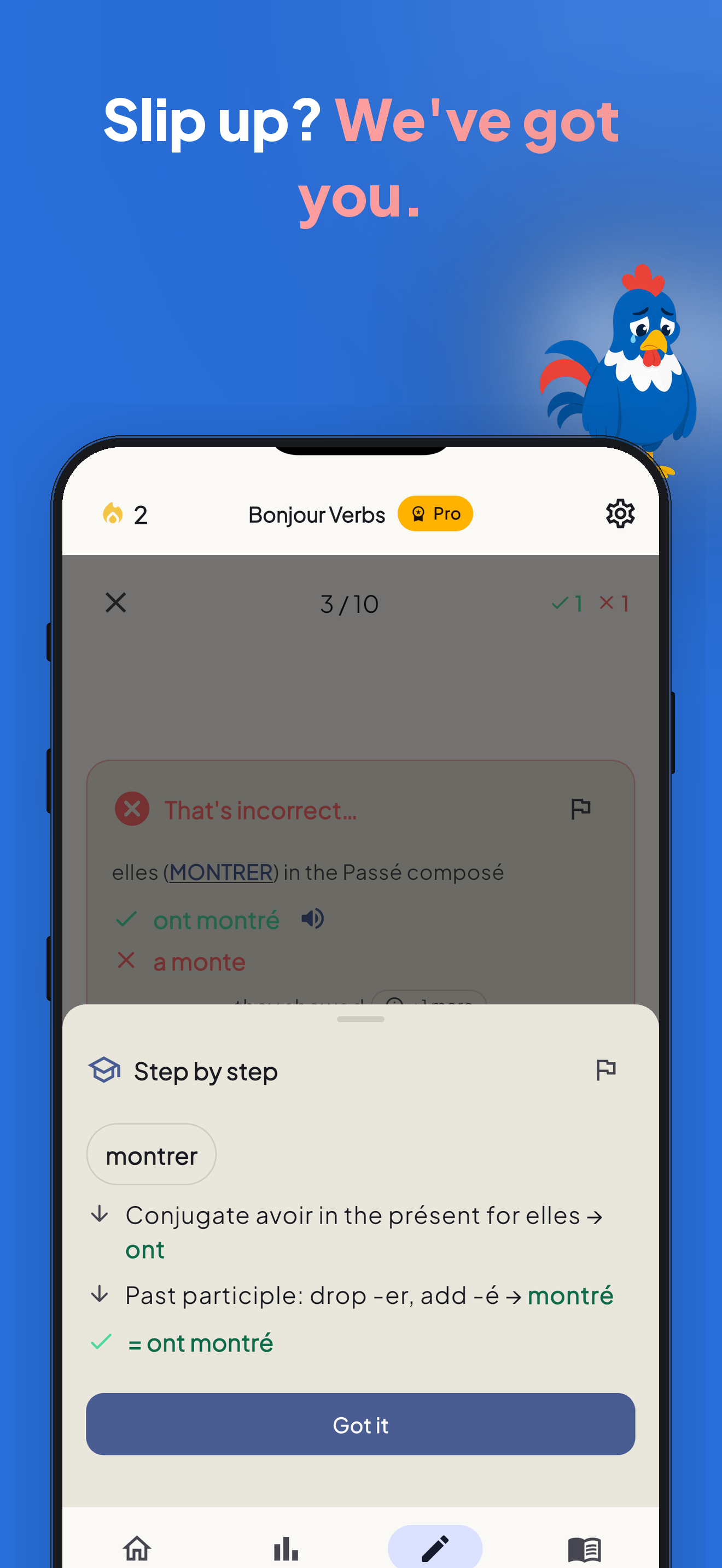 Bonjour Verbs step-by-step wrong-answer feedback